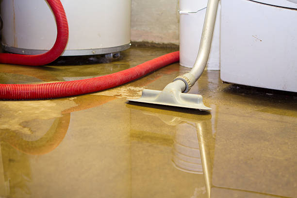 Best Water damage restoration near me  in Midway North, TX