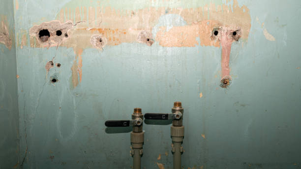 Best Water damage restoration near me  in Midway North, TX