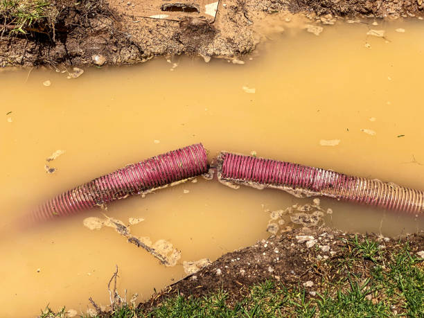 Best Carpet water damage restoration  in Midway North, TX