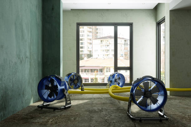 Best Commercial water damage restoration  in Midway North, TX